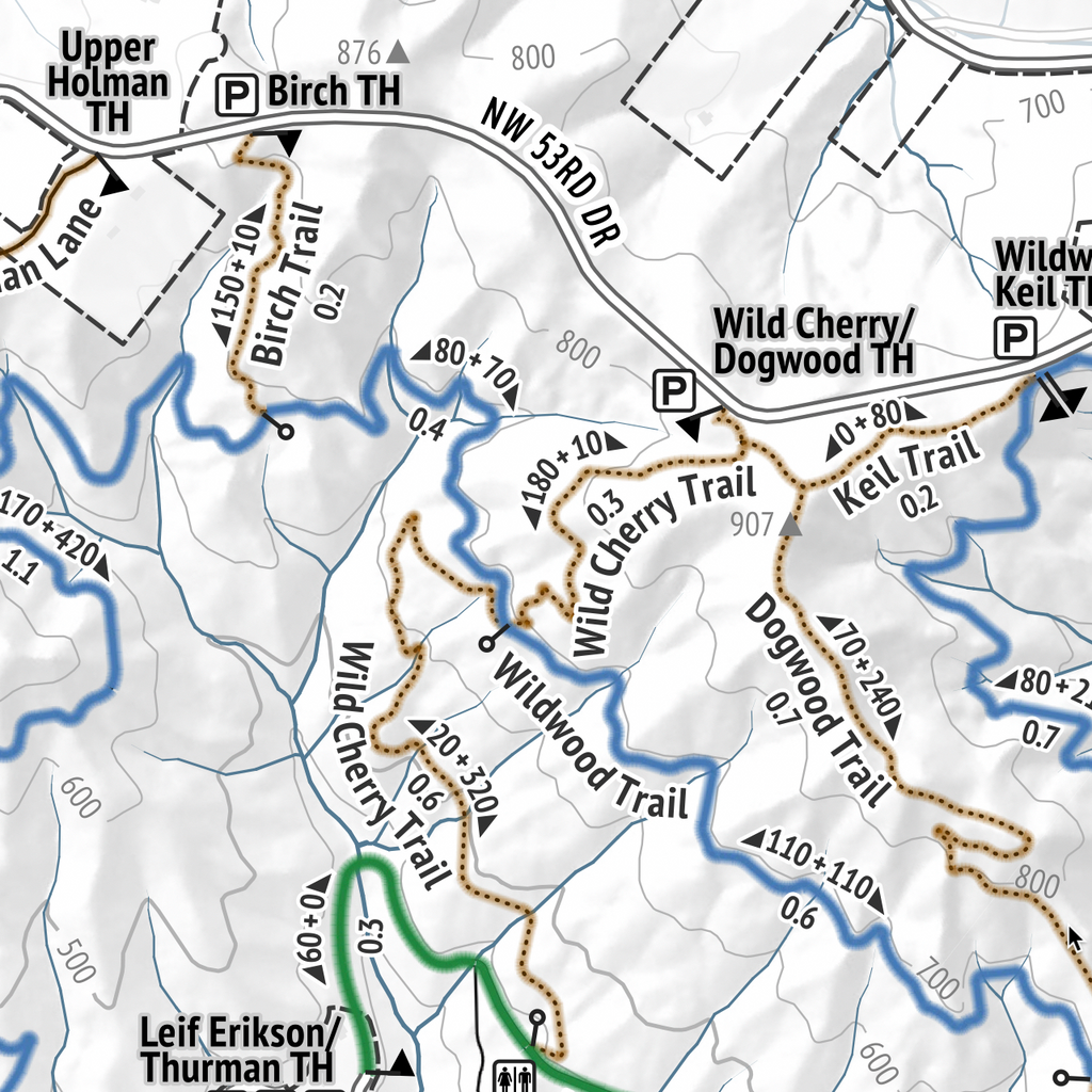 Forest Park Trail Map (Wall Print)