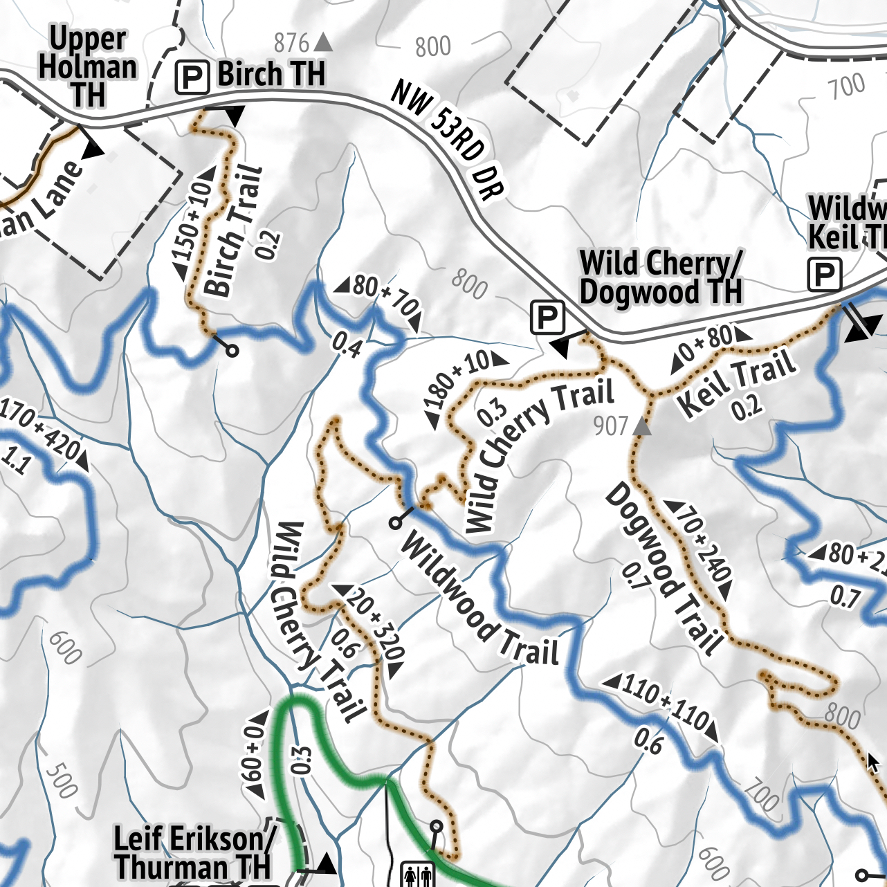 Forest Park Trail Map (Wall Print)
