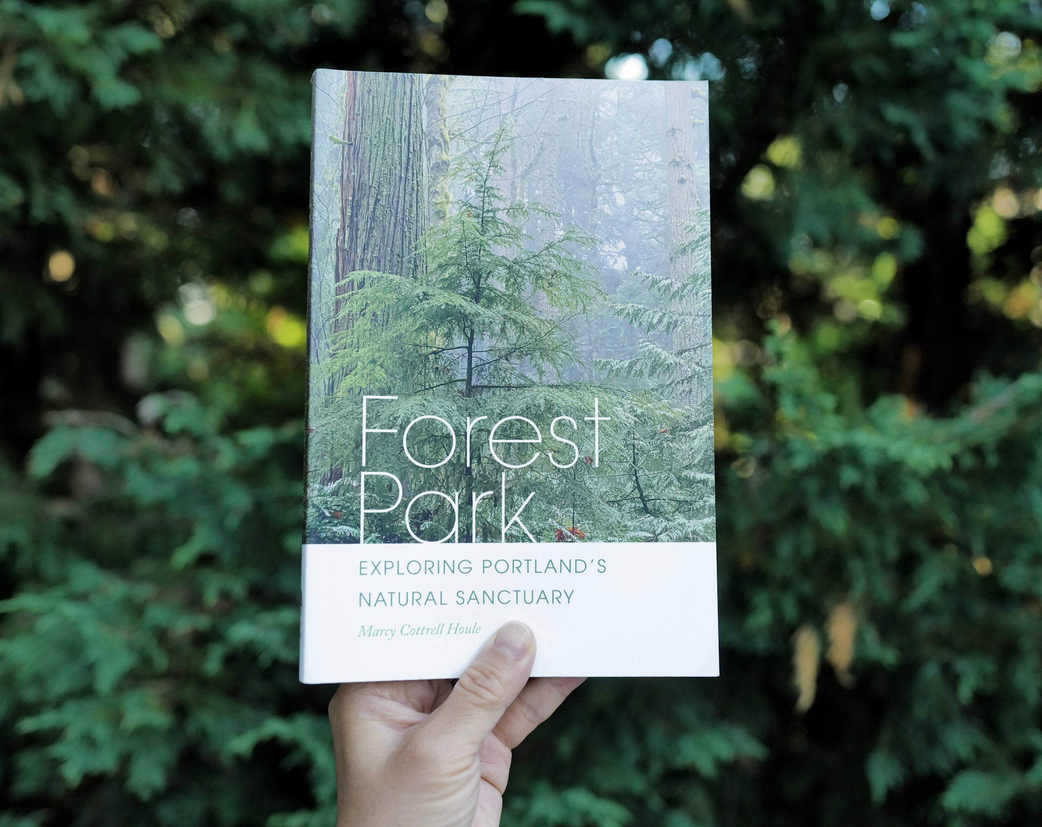 Forest Park: Explorer Bundle – Fouragers